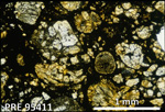 Thin Section Photo of Sample PRE 95411 in Plane Polarized Light