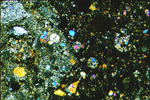 Thin Section Photo of Sample PRE 95411 in Cross Polarized Light