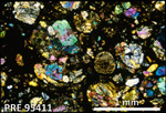 Thin Section Photo of Sample PRE 95411 in Cross-Polarized Light with 2.5X Magnification