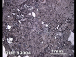Thin Section Photo of Sample QUE 93004 in Reflected Light
