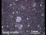 Thin Section Photo of Sample QUE 93006 in Reflected Light