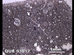 Thin Section Photograph of Sample QUE 93017 in Reflected Light