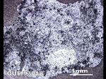 Thin Section Photo of Sample QUE 93018 in Reflected Light