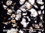 Thin Section Photograph of Sample QUE 93341 in Plane-Polarized Light