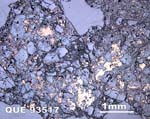 Thin Section Photograph of Sample QUE 93517 in Reflected Light