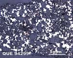 Thin Section Photograph of Sample QUE 94299 in Reflected Light