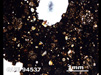 Thin Section Photograph of Sample QUE 94537 in Plane-Polarized Light
