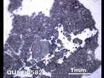 Thin Section Photo of Sample QUE 94582 in Reflected Light