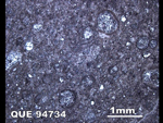 Thin Section Photo of Sample QUE 94734 in Reflected Light