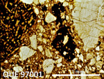 Thin Section Photograph of Sample QUE 97001 in Plane-Polarized Light
