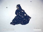Thin Section Photo of Sample QUE 97003 in Plane-Polarized Light with  Magnification