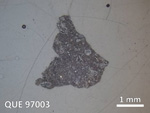 Thin Section Photo of Sample QUE 97003 in Reflected Light with  Magnification