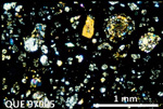 Thin Section Photo of Sample QUE 97005 in Cross-Polarized Light with 2.5X Magnification