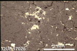 Thin Section Photo of Sample QUE 97026 in Reflected Light with 2.5X Magnification