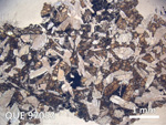 Thin Section Photo of Sample QUE 97053 in Plane-Polarized Light with 1.25X Magnification