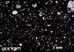Thin Section Photo of Sample QUE 97077 in Cross-Polarized Light with 1.25X Magnification