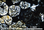 Thin Section Photo of Sample QUE 97348 in Cross-Polarized Light with 2.5X Magnification