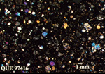 Thin Section Photo of Sample QUE 97416 in Cross-Polarized Light with 1.25X Magnification