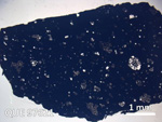 Thin Section Photo of Sample QUE 97621 in Plane-Polarized Light with  Magnification