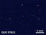 Thin Section Photo of Sample QUE 97621 in Cross-Polarized Light with  Magnification