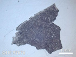 Thin Section Photo of Sample QUE 97676 in Reflected Light with  Magnification