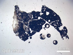 Thin Section Photo of Sample QUE 99113 in Plane-Polarized Light with  Magnification