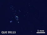 Thin Section Photo of Sample QUE 99113 in Cross-Polarized Light with  Magnification