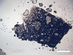 Thin Section Photo of Sample QUE 99342 in Plane-Polarized Light with  Magnification