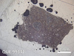 Thin Section Photo of Sample QUE 99342 in Reflected Light with  Magnification