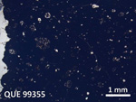 Thin Section Photo of Sample QUE 99355 in Plane-Polarized Light with 5X Magnification