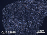 Thin Section Photo of Sample QUE 99658 in Cross-Polarized Light with 1.25X Magnification