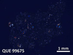 Thin Section Photo of Sample QUE 99675 in Cross-Polarized Light with 5X Magnification