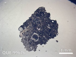 Thin Section Photo of Sample QUE 99676 in Plane-Polarized Light with  Magnification