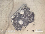 Thin Section Photo of Sample QUE 99676 in Reflected Light with  Magnification