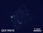 Thin Section Photo of Sample QUE 99676 in Cross-Polarized Light with  Magnification
