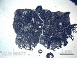 Thin Section Photo of Sample QUE 99677 in Plane-Polarized Light with  Magnification