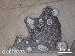 Thin Section Photo of Sample QUE 99678 in Reflected Light with  Magnification