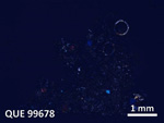 Thin Section Photo of Sample QUE 99678 in Cross-Polarized Light with  Magnification