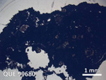 Thin Section Photo of Sample QUE 99680 in Plane-Polarized Light with  Magnification