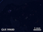Thin Section Photo of Sample QUE 99680 in Cross-Polarized Light with  Magnification