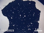 Thin Section Photo of Sample RBT 03523 in Plane-Polarized Light with 5X Magnification