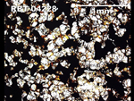 Thin Section Photograph of Sample RBT 04228 in Plane Polarized Light