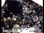 Thin Section Photo of Sample RBT 04251  in Plane-Polarized Light