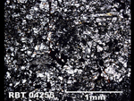 Thin Section Photo of Sample RBT 04255  in Plane-Polarized Light