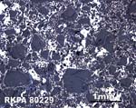 Thin Section Photograph of Sample RKPA80229 in Reflected Light