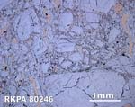 Thin Section Photograph of Sample RKPA80246 in Reflected Light