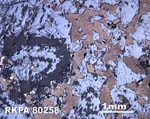 Thin Section Photograph of Sample RKPA80258 in Reflected Light