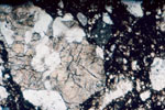 Thin Section Photo of Sample ALH 81005