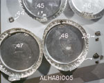 Lab Photo of Sample ALH 81005
