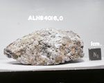 Lab Photo of Sample ALH 84016